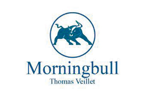 MorningBull logo